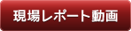 現場レポート動画へ